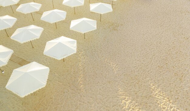 Rows of umbrellas on an empty beach