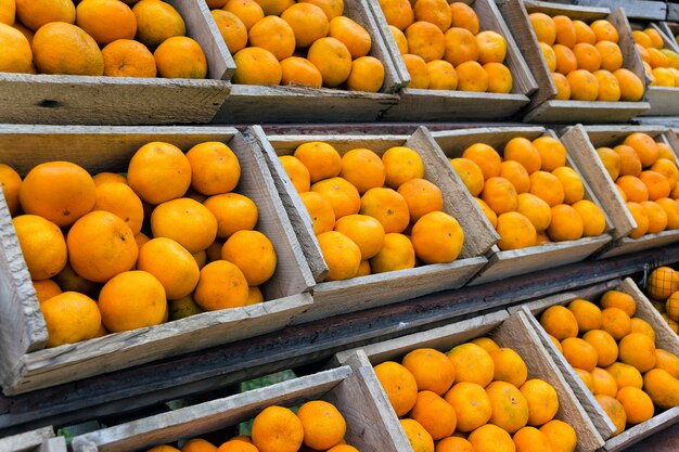 Rows of wooden boxes with ripe mandarins