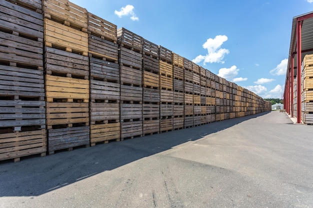 Rows of wooden crates boxes and pallets for fruits and\
vegetables in storage stock production warehouse plant\
industry