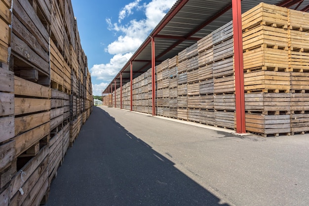 Rows of wooden crates boxes and pallets for fruits and\
vegetables in storage stock production warehouse plant\
industry