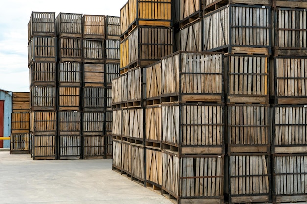 Rows of wooden crates crates and pallets for storing and\
transporting fruits and vegetables in the warehouse production\
warehouse on the territory of the agroindustrial complex