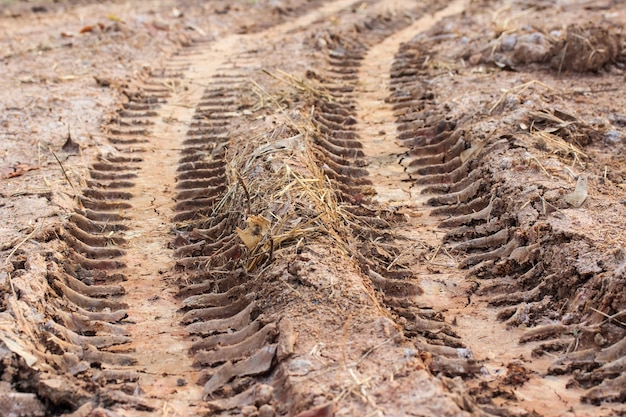 Roy-tractoren op de grond