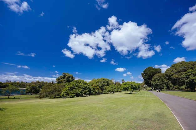 Royal Botanic Garden on a warm autumn morning in Sydney New South Wales Australia