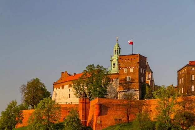 Royal castle in Wawel Krarow