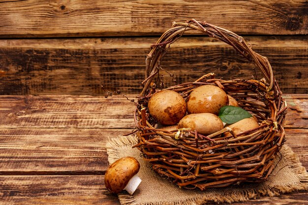 royal champignon mushrooms in handmade wicker basket