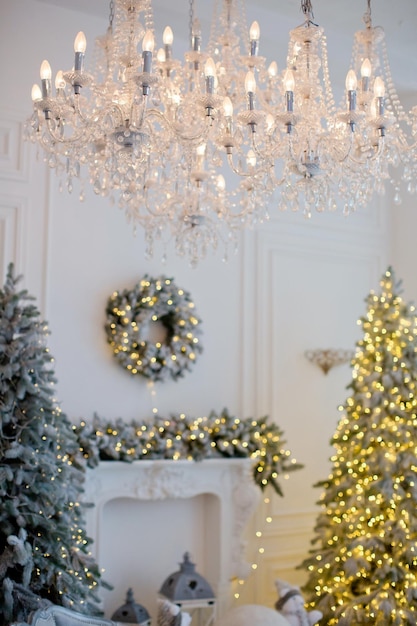 Royal kamer met kerstboom en open haard