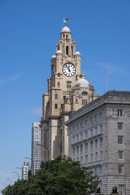 The Royal Liver building with a clock tower in Liverpool, England