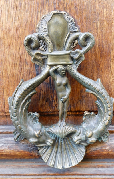 Royal style doorknocker on brown door Paris