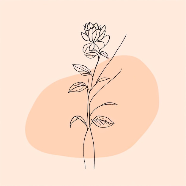 Roze achterkant Botanische bloementekeningen Zwart-wit met lijnkunst Illustraties