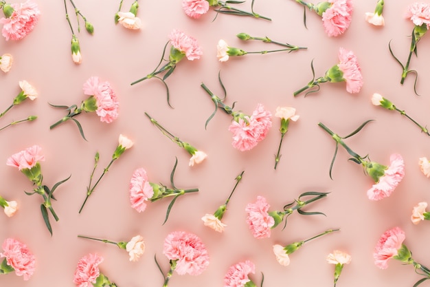 Roze anjerbloemen op pastel achtergrond. Plat leggen, bovenaanzicht, kopie ruimte.