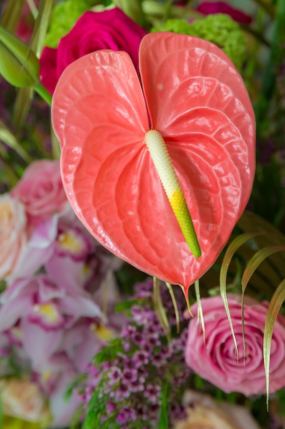 Roze anthurium-bloem in een boeket