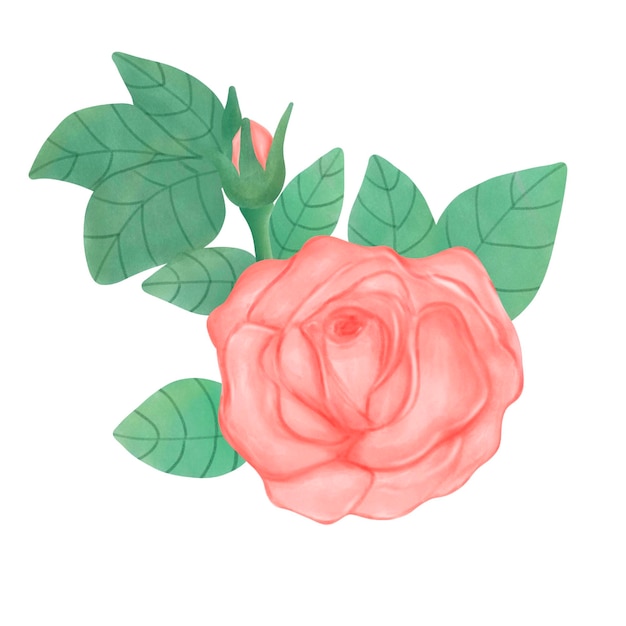 Roze aquarel
