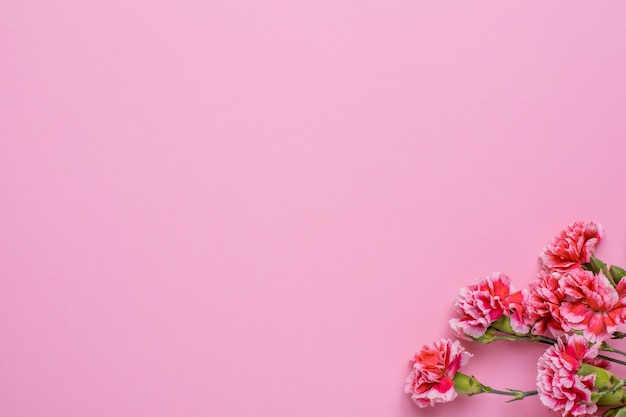 Roze behang met roze bloemen