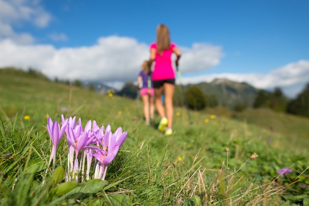 Roze bergbloem met meisjes die in de weide lopen