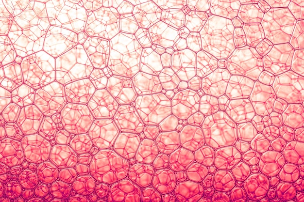 Foto roze biotechnologie textuur rode bubbels abstractmacro close-up van zeepbellen