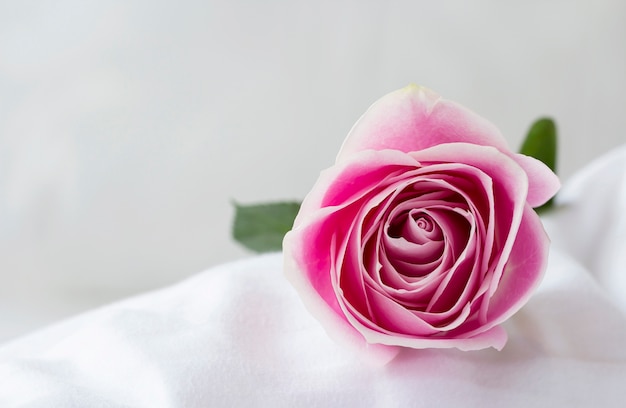 Roze bloem op het witte bed