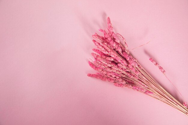 Roze bloem op tafel