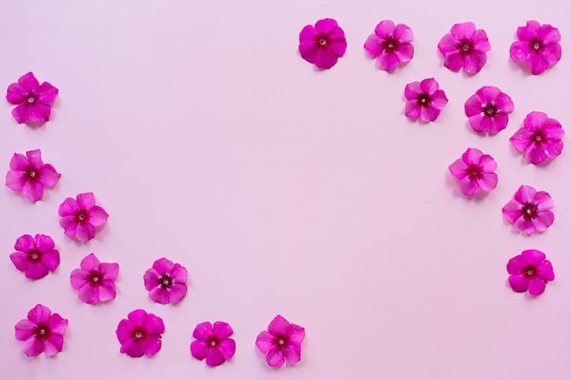 Roze bloemen en bladeren op roze oppervlak