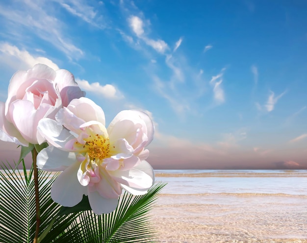 roze bloemen en groene palmboomplant blauwe zee en bewolkt roze luchtpanorama, watergolf