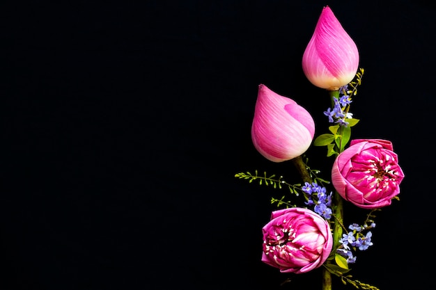 roze bloemen lotus arrangement briefkaart stijl op zwart