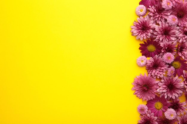 Roze bloemen op gele papieren achtergrond. Bloem samenstelling. Verticale foto