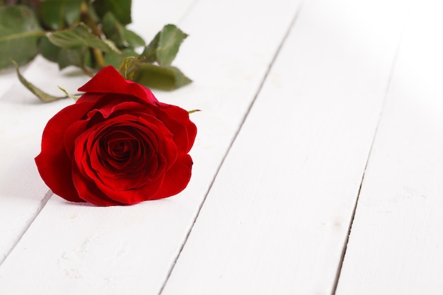 roze bloemen op houten tafel