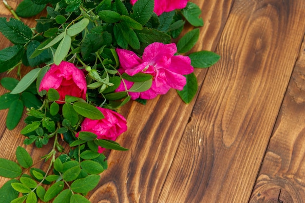 Roze bloemen van hondsroos op houten achtergrond kopiëren ruimte