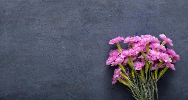 Roze bloemen van tuinanjer op een donkere steenachtergrond Bovenaanzicht