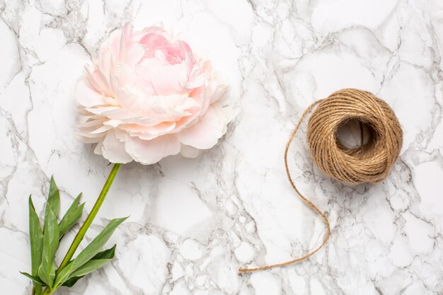 Roze bloemenpioen en streng op een marmeren oppervlakte. Vakantie- en zomeritem.