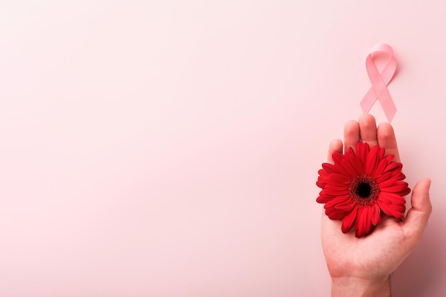 Roze borstkanker bewustzijn lint handen met rode gerbera en roze lint op achtergronden Borstkanker bewustzijn en oktober roze dag wereld kanker dag bovenaanzicht Mock up