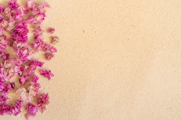 Roze Bougainvillea-bloem op zandachtergrond