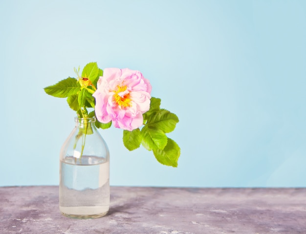 Roze bruyère wilde rozen in een vaas