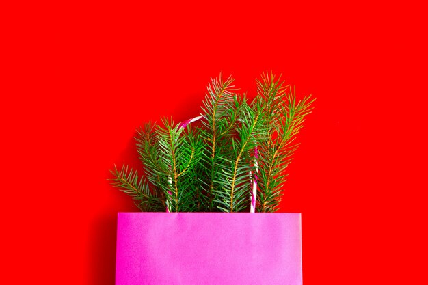 Roze cadeauzakje met verse groene vuren takken die eruit steken