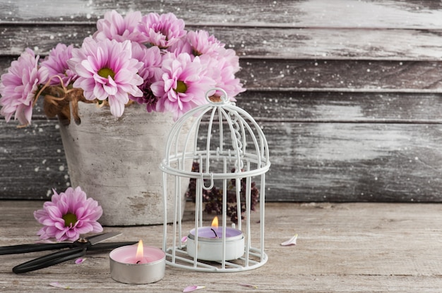 Roze chrysant in concrete pot met schaar