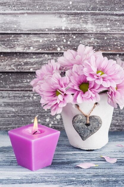 Roze chrysant in concrete pot