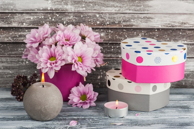 Roze chrysant in concrete pot