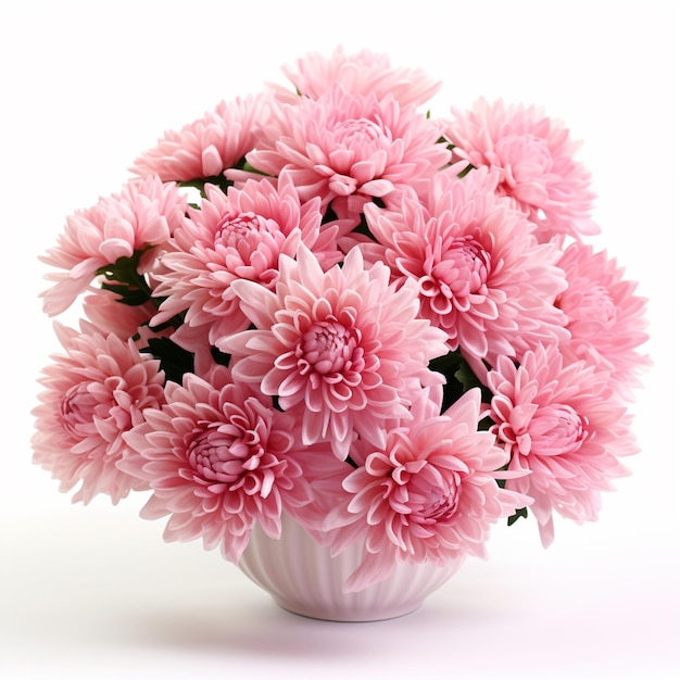 Roze chrysanten geïsoleerd op wit