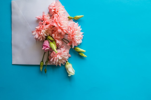 Roze chrysanthemum bloemen en ranunculus flowersenvelope op blauwe muur.