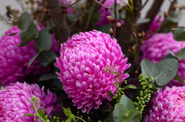 Roze chrysanthemumbloem voor achtergrond