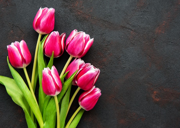 Roze de lentetulpen