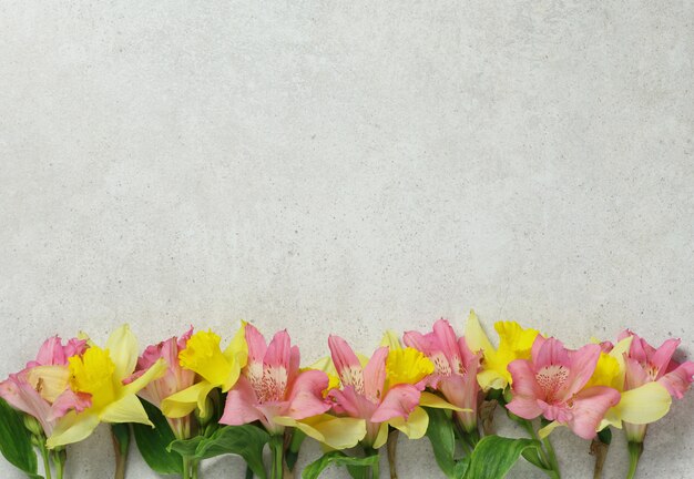 Roze en gele bloemen op grijze steenachtergrond