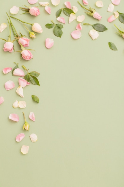 Roze en witte bloemen op Groenboekachtergrond