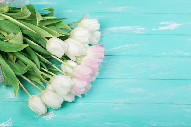 Roze en witte zeer tedere tulpen op groen blauwe houten achtergrond