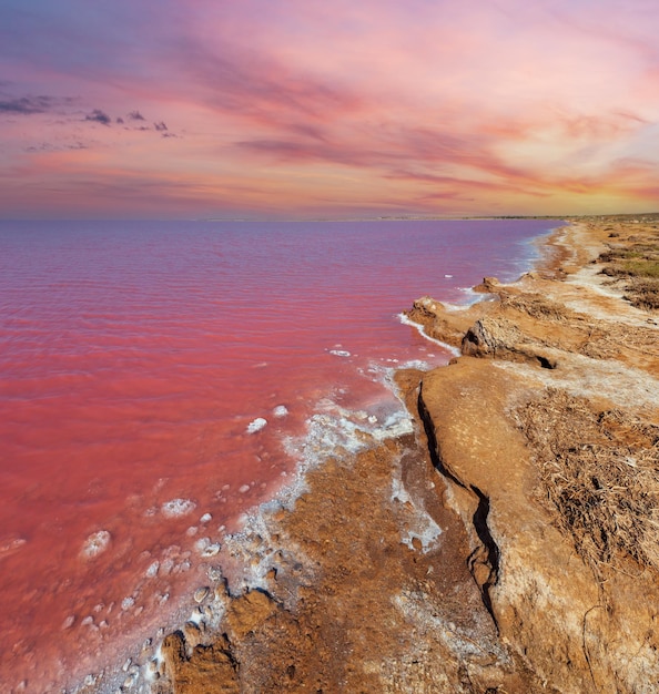 Foto roze extreem zoute syvash-meer gekleurd door microalgen met kristallijne zoutafzettingen ook bekend als de rotte zee of rotte zee oekraïne kherson-regio in de buurt van de krim en arabat spit