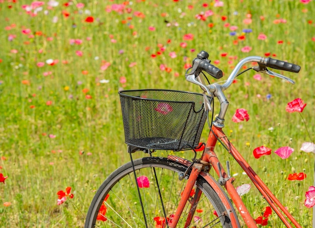 Roze fiets in bloemrijk veld