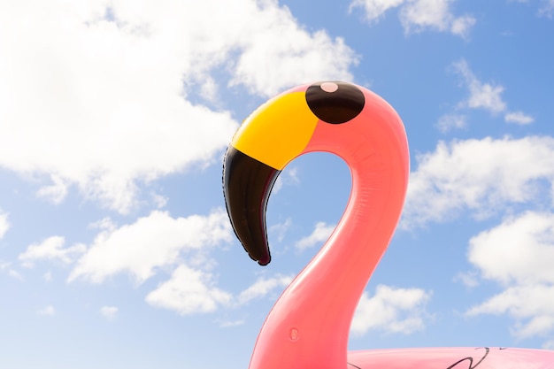 Roze flamingo op het strand