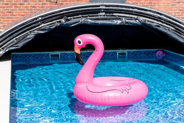 Roze flamingo's in een zwembad met blauwe tegels In de zonnestralen Ontspan in de achtertuin van een landhuis