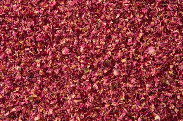 Roze gedroogde rozenblaadjes achtergrond