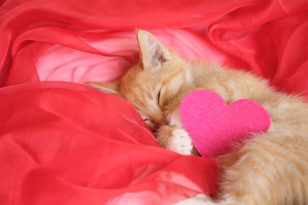 Roze hart gemaakt van vilt en een schattig gemberkatje ligt op een rode luchtige stof