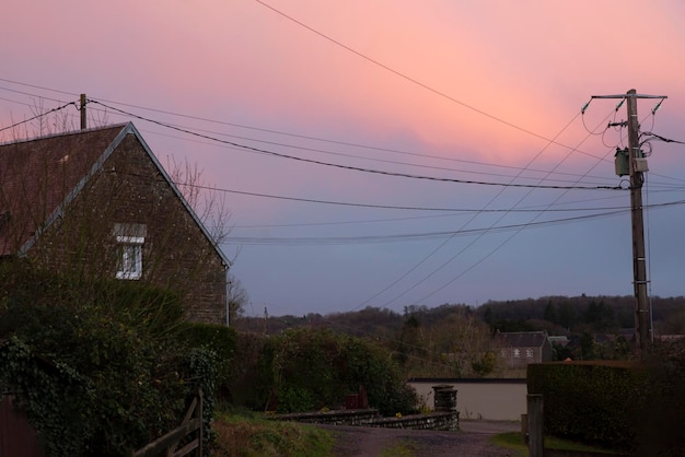 Roze hemelzonsondergang op het platteland met bomen zonder bladeren in de winter